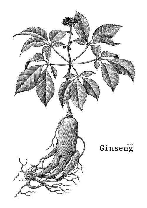 Ginseng - Grande Pharmacie du Viaduc